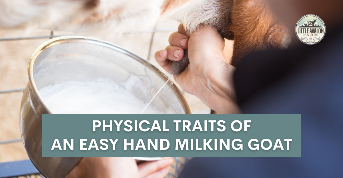 Photo inspiration: Visual Reference: Physical Traits Of An Easy Hand Milking Goat