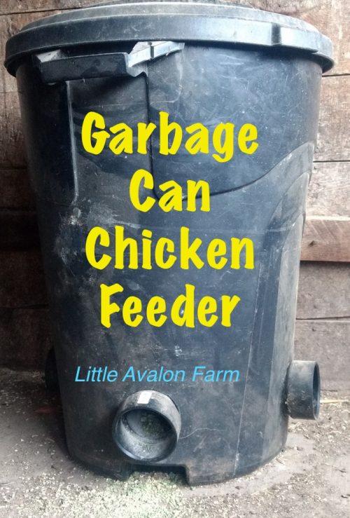 Garbage Can Chicken Feeder Little Avalon Farm