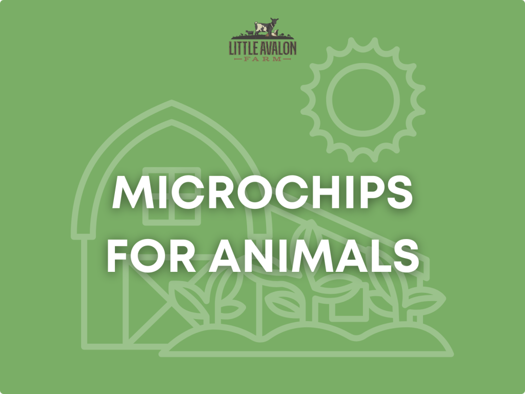On Microchips